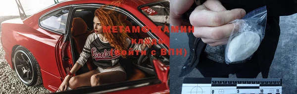 ГАЛЛЮЦИНОГЕННЫЕ ГРИБЫ Заволжье