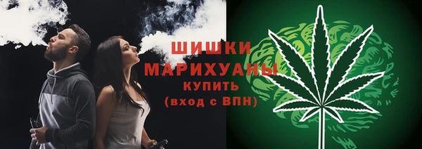 ГАЛЛЮЦИНОГЕННЫЕ ГРИБЫ Заволжье