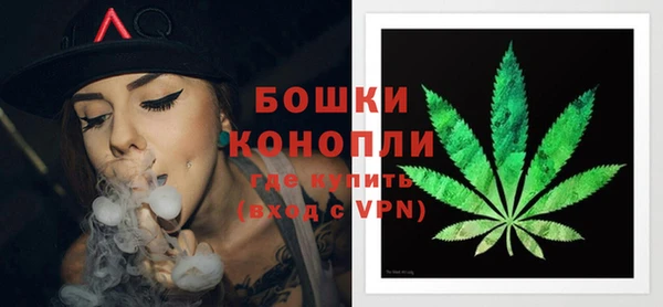 ГАЛЛЮЦИНОГЕННЫЕ ГРИБЫ Заволжье