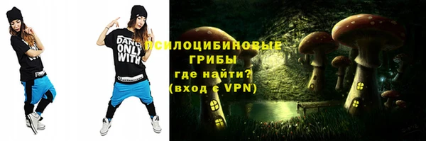 ГАЛЛЮЦИНОГЕННЫЕ ГРИБЫ Заволжье