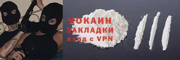 ГАЛЛЮЦИНОГЕННЫЕ ГРИБЫ Заволжье