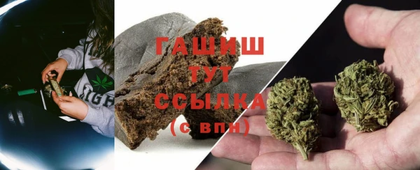 ГАЛЛЮЦИНОГЕННЫЕ ГРИБЫ Заволжье